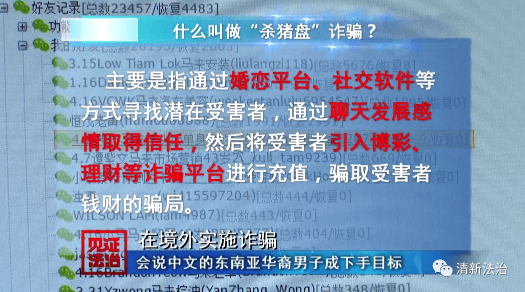 2004澳门天天开好彩大全,澳门天天开好彩，揭秘背后的真相与警示公众的重要性