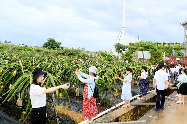 新澳精选资料免费提供,新澳精选资料免费提供，助力学习与发展的优质资源