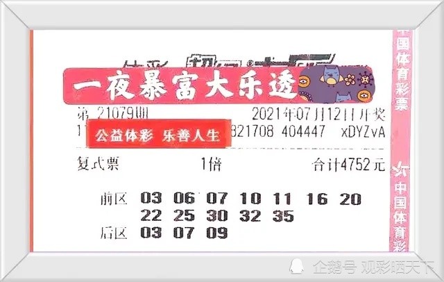 新澳2025今晚开奖结果,新澳2025今晚开奖结果揭晓，探索彩票背后的故事与期待