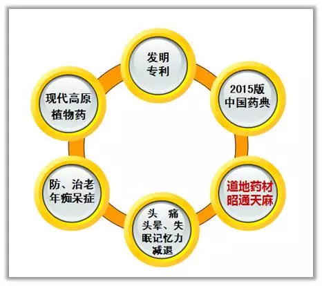 2025资料精准大全,迈向未来的关键，2025资料精准大全