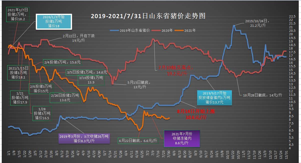 2023年澳门特马今晚开码,澳门特马今晚开码，探索未来的繁荣与机遇