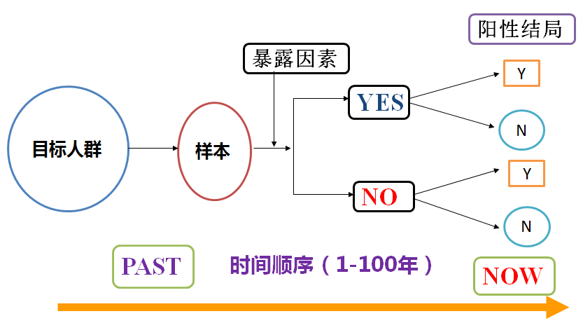 2025管家婆一码一肖资料,关于2025管家婆一码一肖资料的研究与探讨