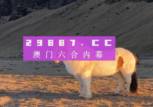 澳门最准的一码一码100准010期 01-16-28-32-36-37H：29,澳门最准的一码一码，探索神秘数字世界的奥秘