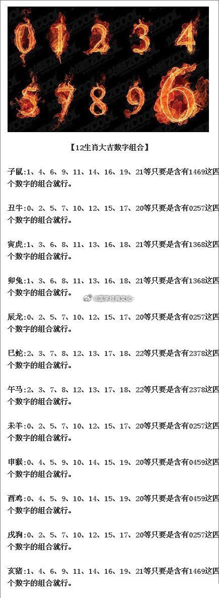 澳门正版资料一玄武131期 03-24-26-29-34-42E：48,澳门正版资料解析，玄武131期与特定数字组合的未来展望